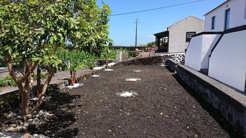 Azores Black Mountain House, Estudio E T2 Ilha Do Pico Sao Roque do Pico Exterior photo